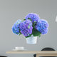 posy of blue hortensia flowers 