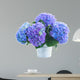 posy of blue hortensia flowers 