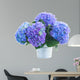 posy of blue hortensia flowers 