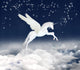 Unicorn in the Sky 