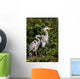 family of herons Wall Mural