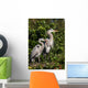 family of herons Wall Mural