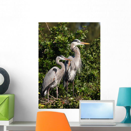 family of herons Wall Mural