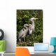 family of herons Wall Mural