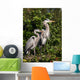 family of herons Wall Mural