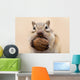 ?????????? Wall Mural