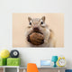 ?????????? Wall Mural
