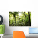Tropical forest Wall Mural