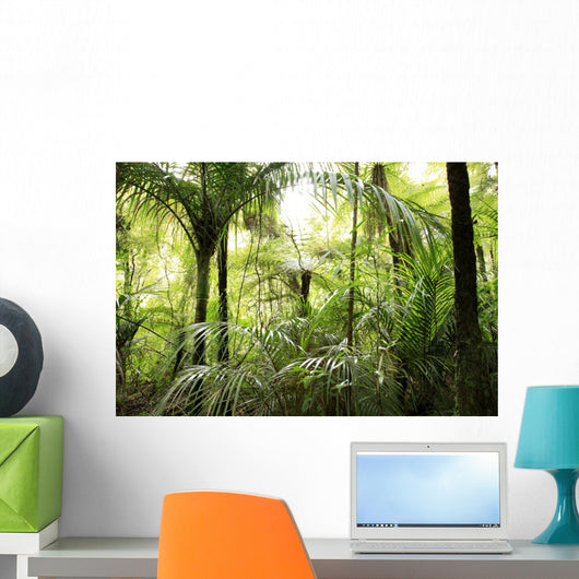 Tropical forest Wall Mural