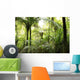 Tropical forest Wall Mural