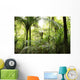 Tropical forest Wall Mural