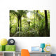 Tropical forest Wall Mural