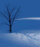 Winter Wall Decal
