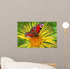 Butterfly  on the  flower Wall Mural
