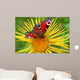 Butterfly  on the  flower Wall Mural