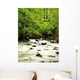 Wild Nature Wall Decal
