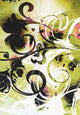 butterfly graffiti Wall Mural