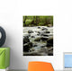 river in wilderness Wall Mural
