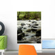 river in wilderness Wall Mural
