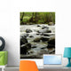 river in wilderness Wall Mural