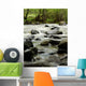 river in wilderness Wall Mural