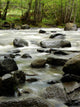 river in wilderness Wall Mural