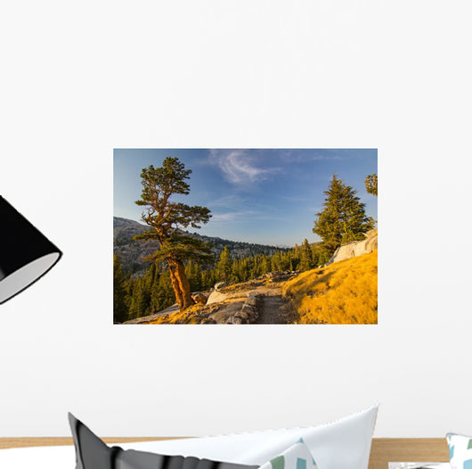Yosemite Wall Mural