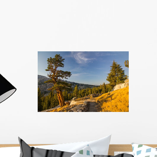 Yosemite Wall Mural