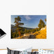Yosemite Wall Mural