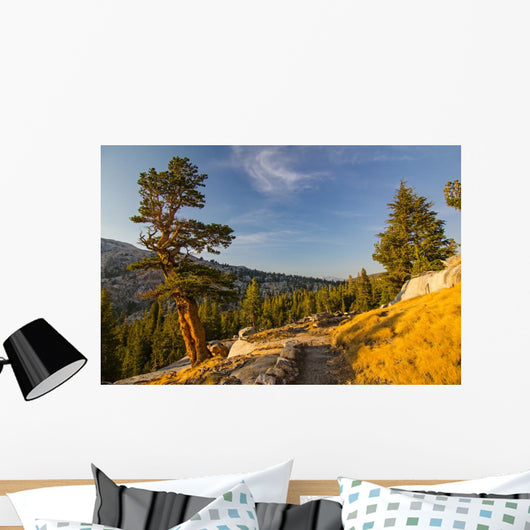 Yosemite Wall Mural