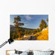 Yosemite Wall Mural