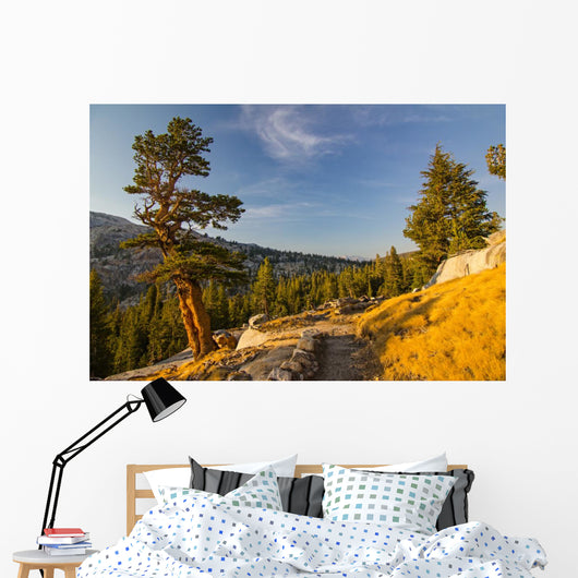 Yosemite Wall Mural