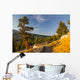 Yosemite Wall Mural