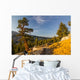 Yosemite Wall Mural