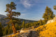 Yosemite Wall Mural