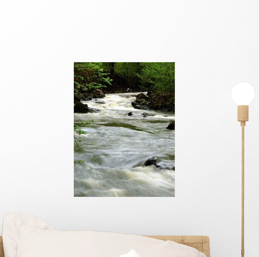 River Wall Mural
