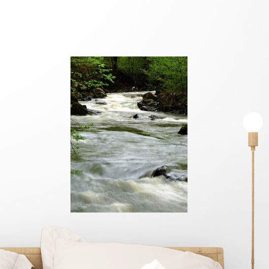 River Wall Mural