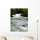 River Wall Mural