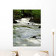 River Wall Mural