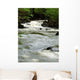 River Wall Mural
