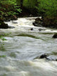 River Wall Mural