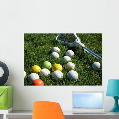 Ready for Lacrosse Wall Mural shown on a wall