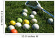 Ready for Lacrosse Wall Mural