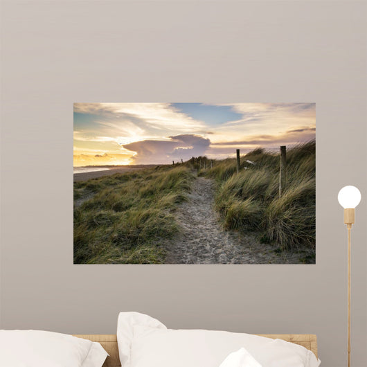 Blue sky Summer beach sunset landscape 