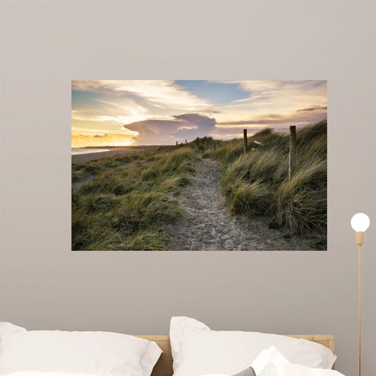 Blue sky Summer beach sunset landscape 