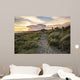 Blue sky Summer beach sunset landscape 