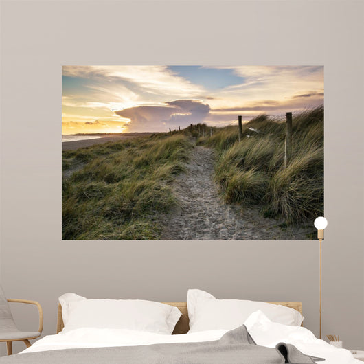 Blue sky Summer beach sunset landscape 