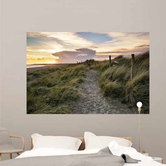 Blue sky Summer beach sunset landscape 