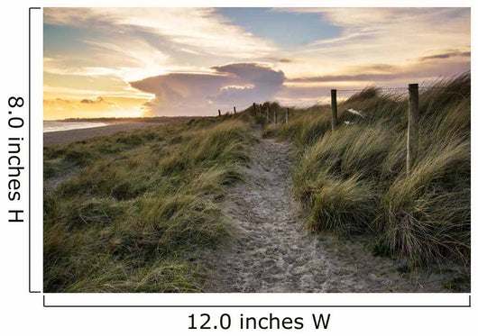 Blue sky Summer beach sunset landscape 