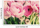 pink flowers Wall Mural